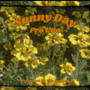 Sunny Day - 4